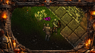 New Player